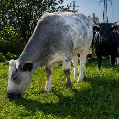 Geetkotmolenhoeve Lochristi Dış mekan fotoğraf